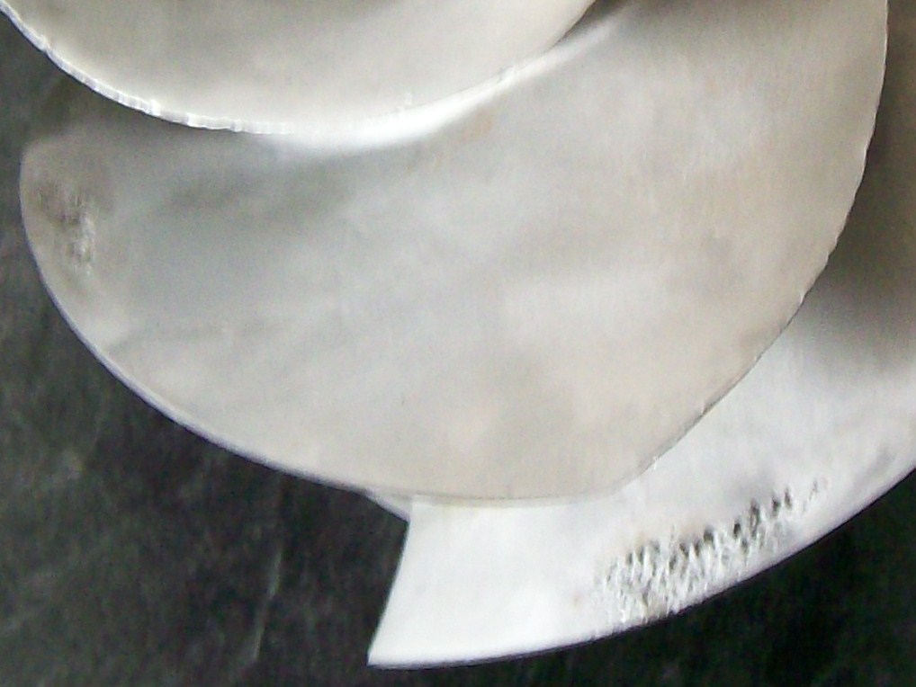 004.JPG