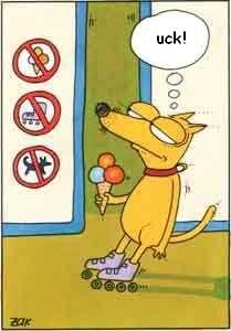 Dogs day.jpg