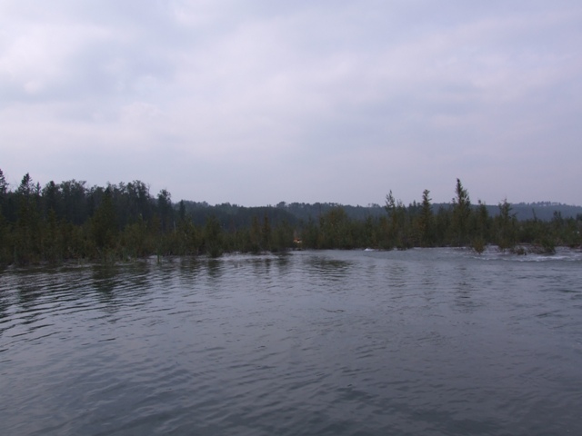 DSCF2203.JPG