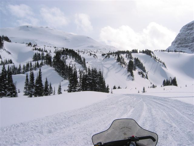 kakwa3.JPG