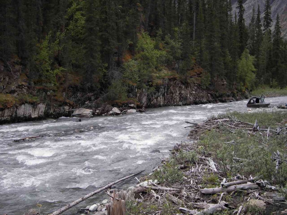 picture 4.jpg