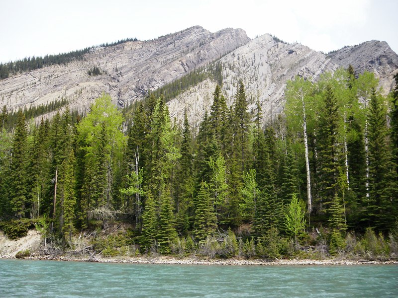 SAUNDERS JUNE 2012 013.JPG