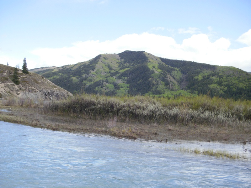 SAUNDERS JUNE 2012 052.JPG