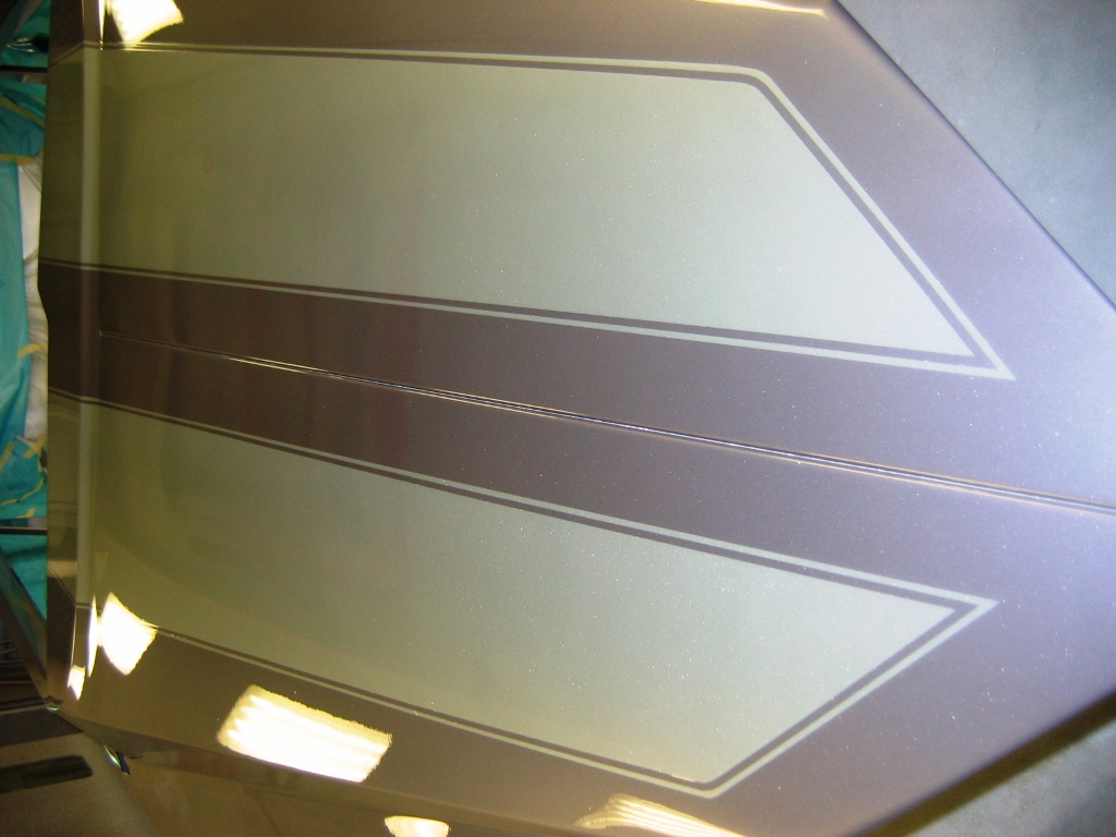 tfafsport 017.jpg
